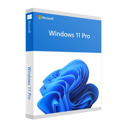 Microsoft Windows 11 Pro-Nederlands - USB